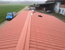 tecnoideal rifacimentotetti0765